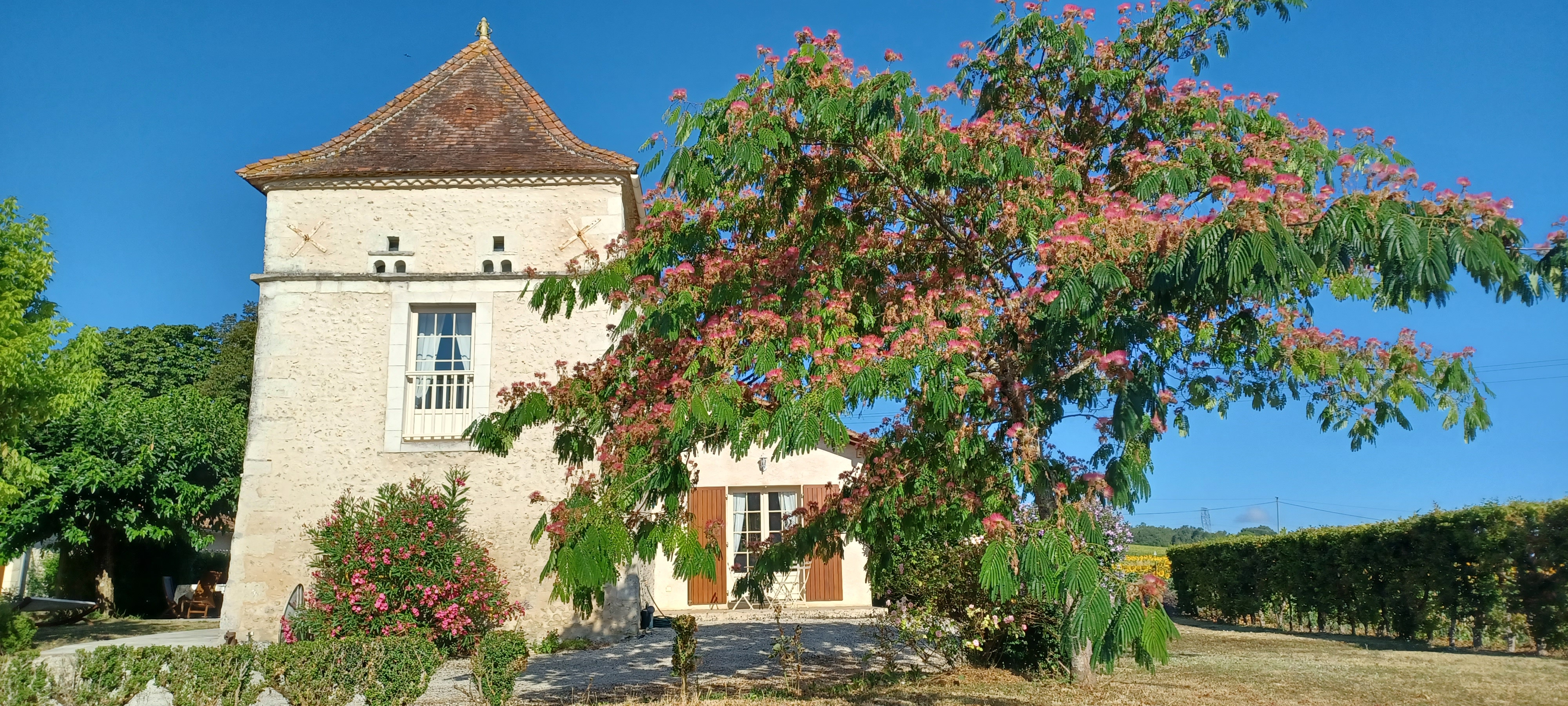 Jardin du Pigeonnier — iris, roses, allée en pierre et façade charentaise